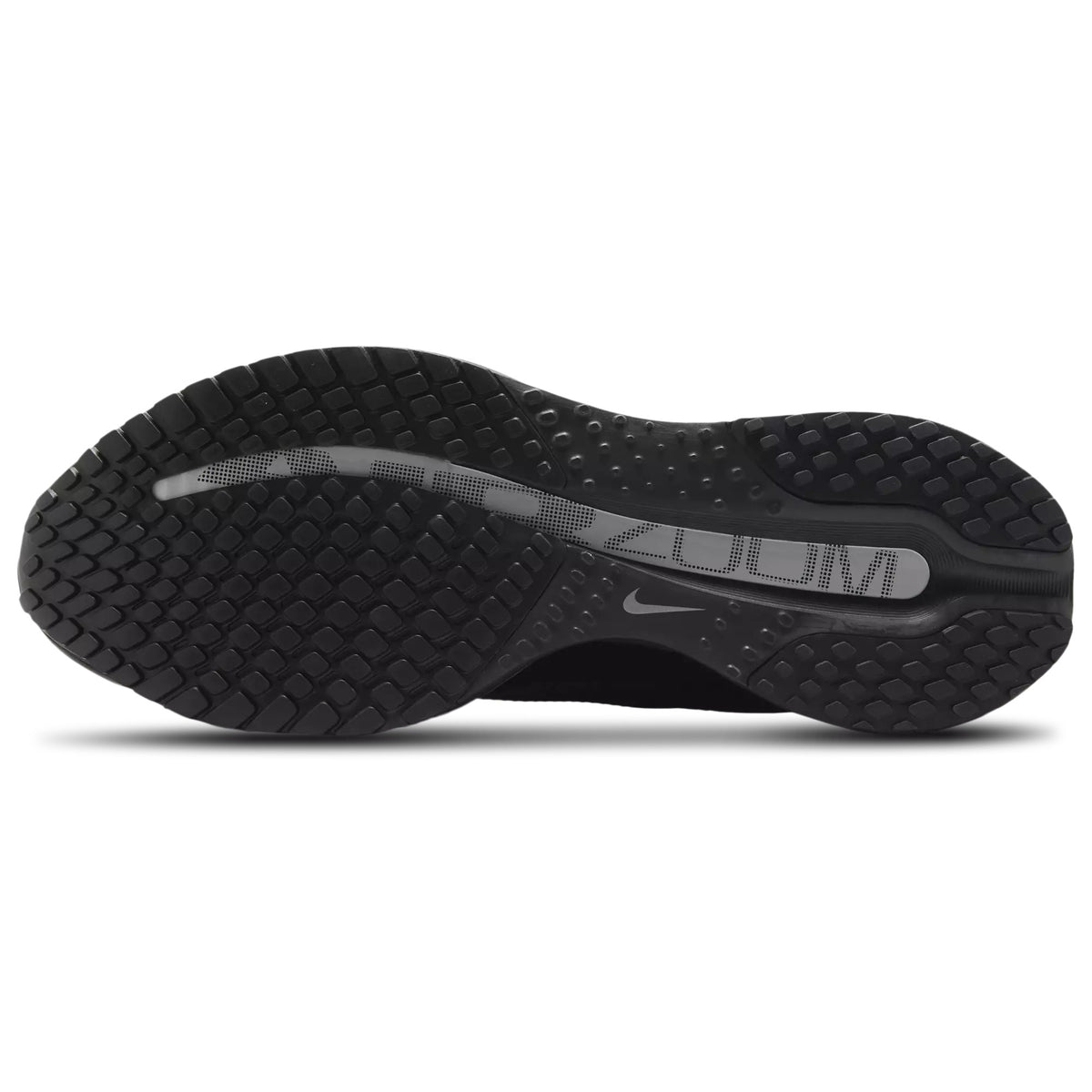 Nike Pegasus Premium HQ2592-005 – Black High-Performance Daily Running Sneaker