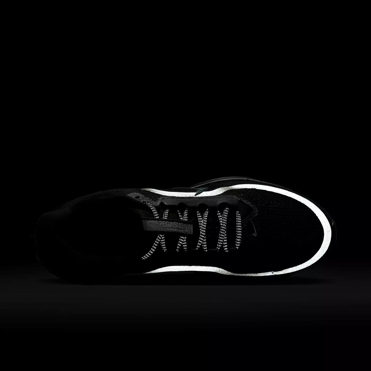 Nike Pegasus Premium HQ2592-005 – Black High-Performance Daily Running Sneaker