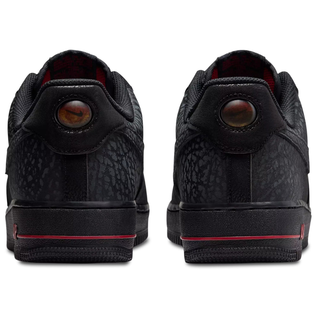 Nike Air Force 1 Low LE IV4451-010 — Men's & Women's Lifestyle Sneaker